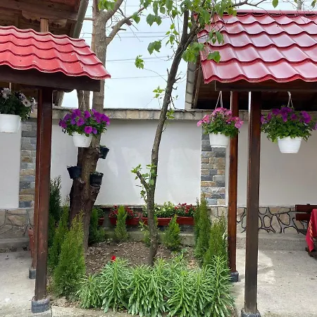 Chinara Ognyanovo (Blagoevgrad)